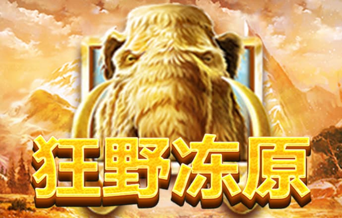 55234.77官网进入